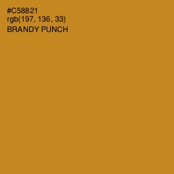 #C58821 - Brandy Punch Color Image